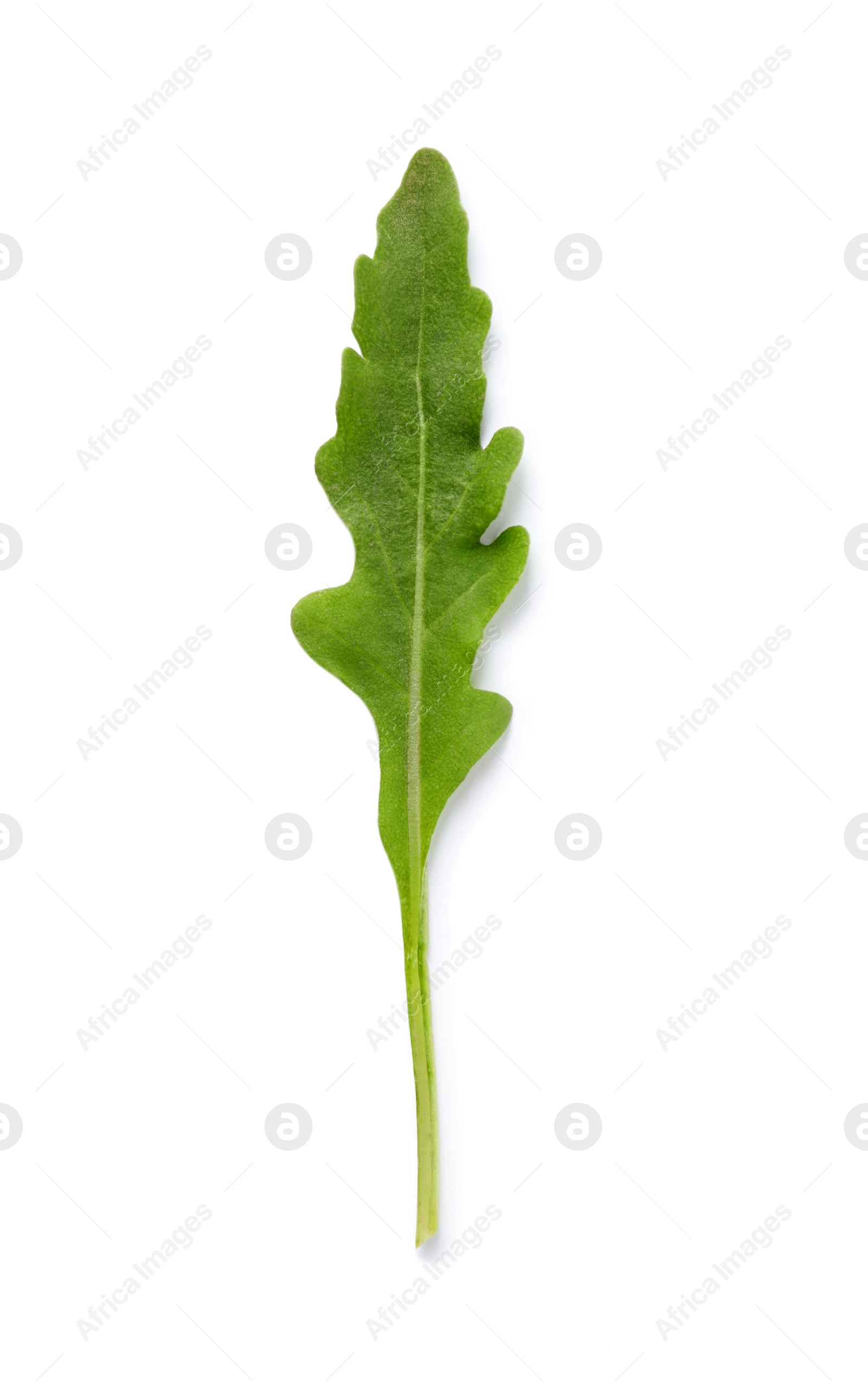 Photo of Leaf of fresh arugula isolated on white, top view