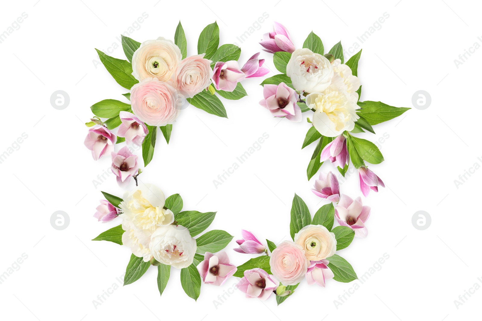 Image of Wreath made of beautiful flowers on white background