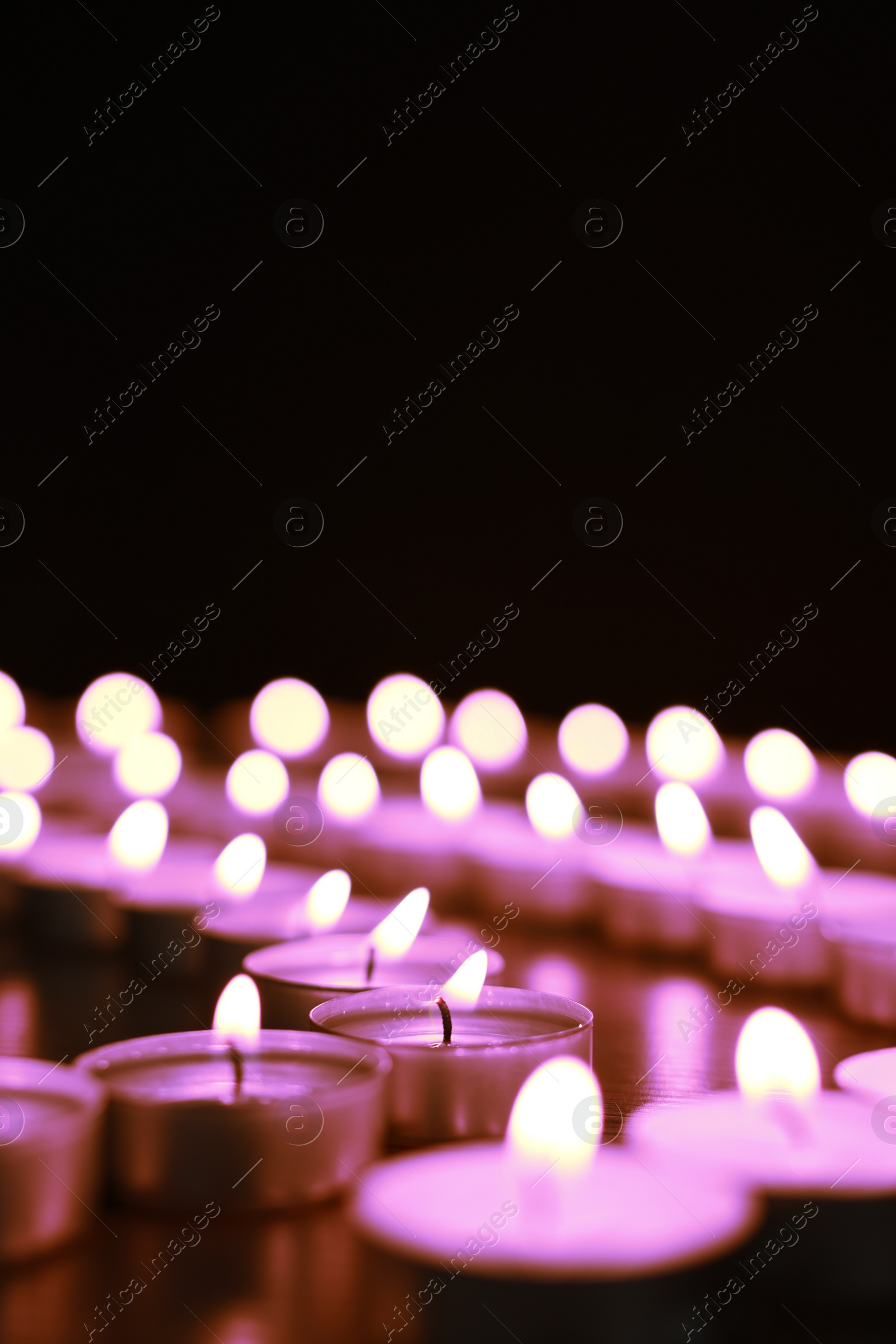 Image of Beautiful burning violet candles on black background. Funeral attributes