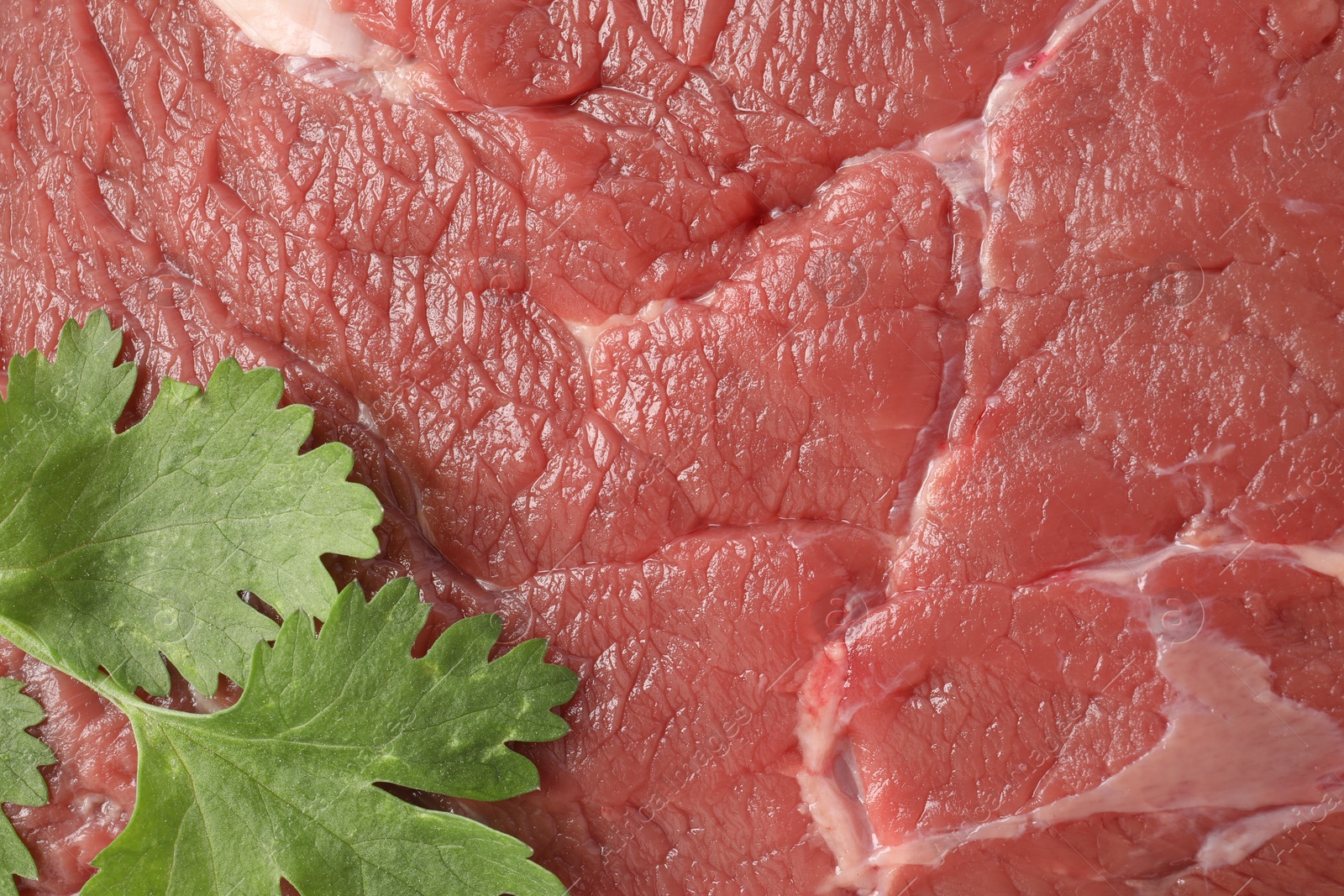 Photo of Piece of raw beef meat with parsley as background, top view