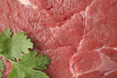 Photo of Piece of raw beef meat with parsley as background, top view