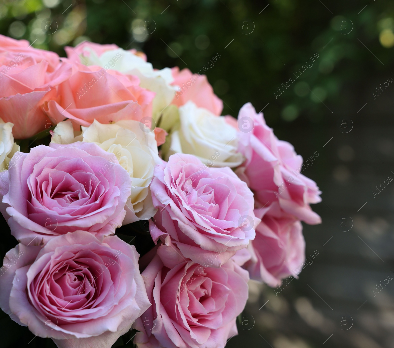 Photo of Beautiful bouquet of aromatic roses outdoors, closeup