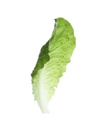 Fresh leaf of green romaine lettuce isolated on white