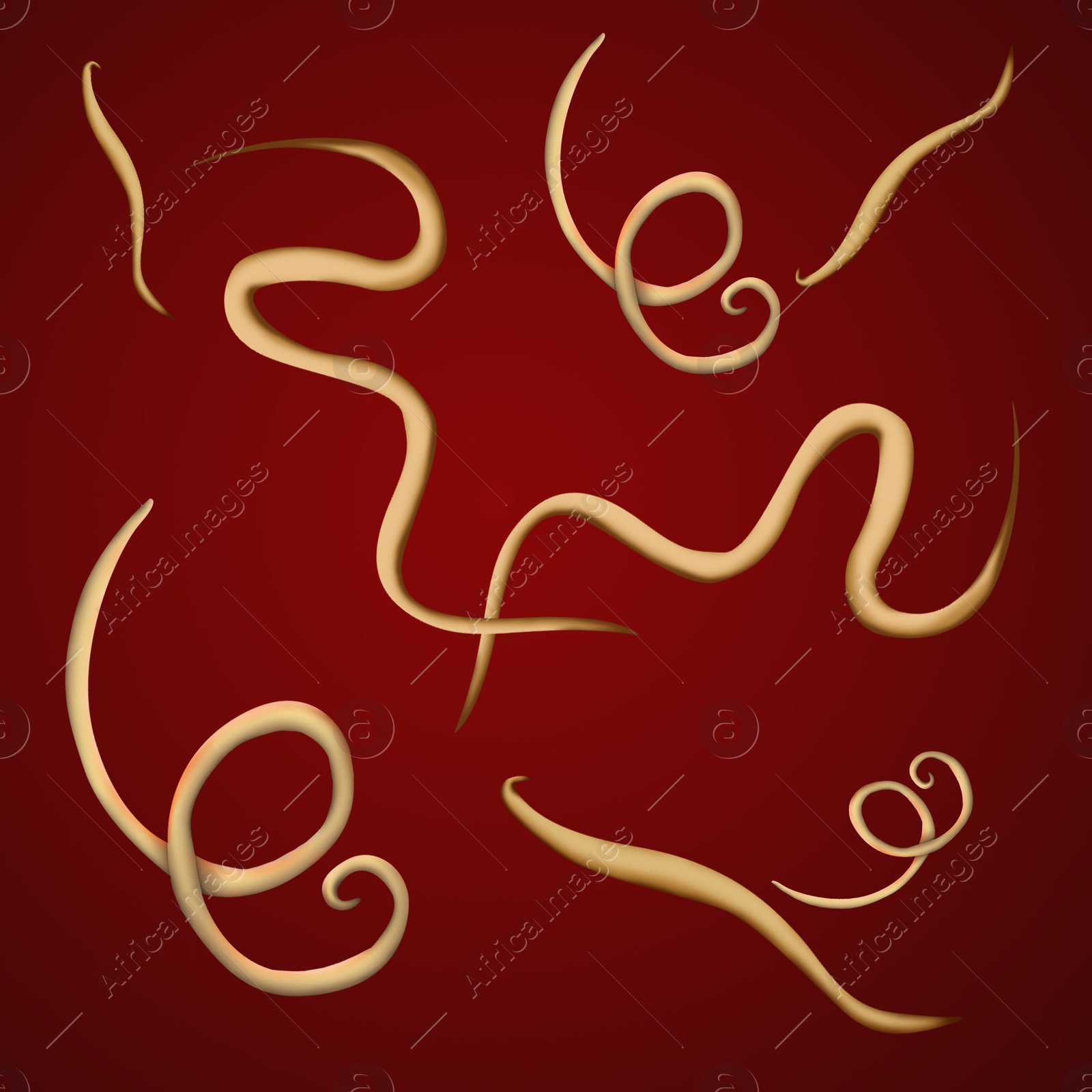 Illustration of  helminths on color background. Parasites in human body