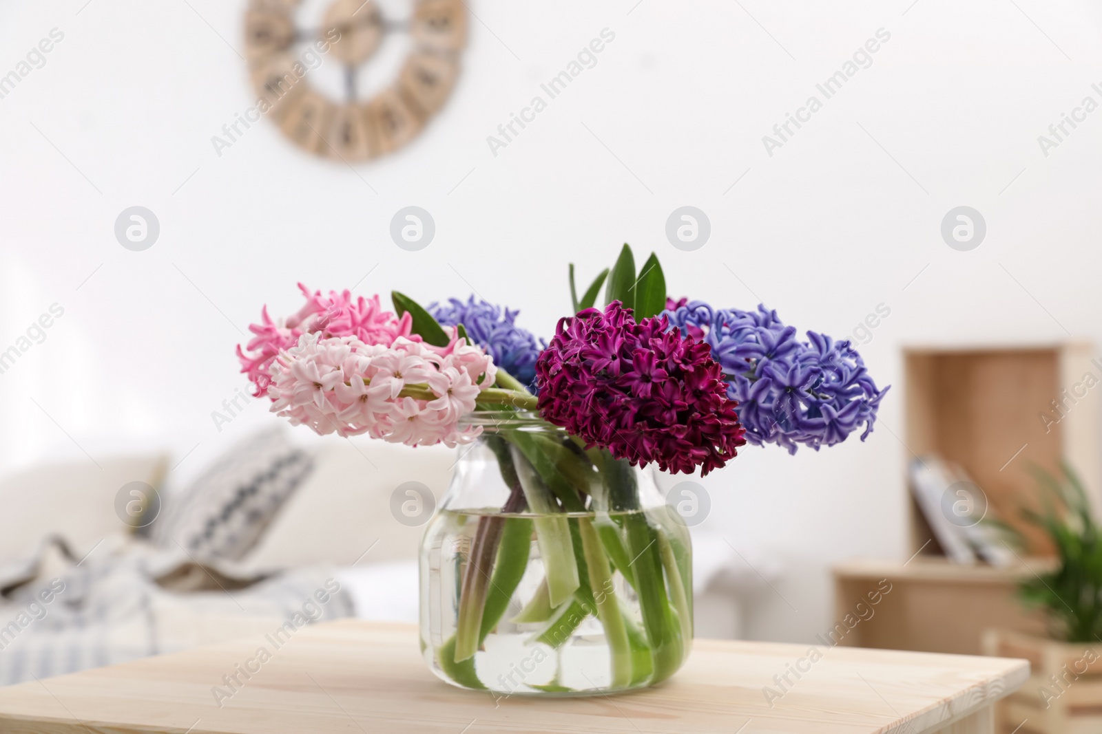 Photo of Beautiful hyacinths in glass vase on table indoors. Spring flowers