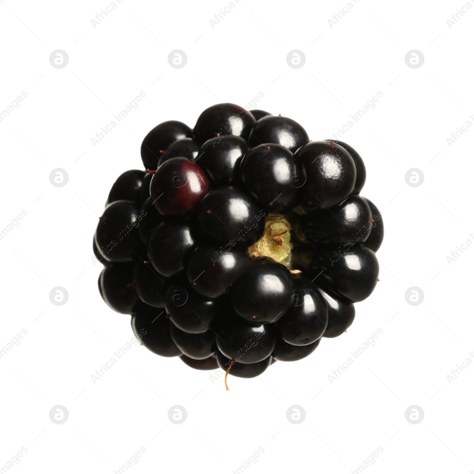 Photo of One tasty ripe blackberry isolated on white