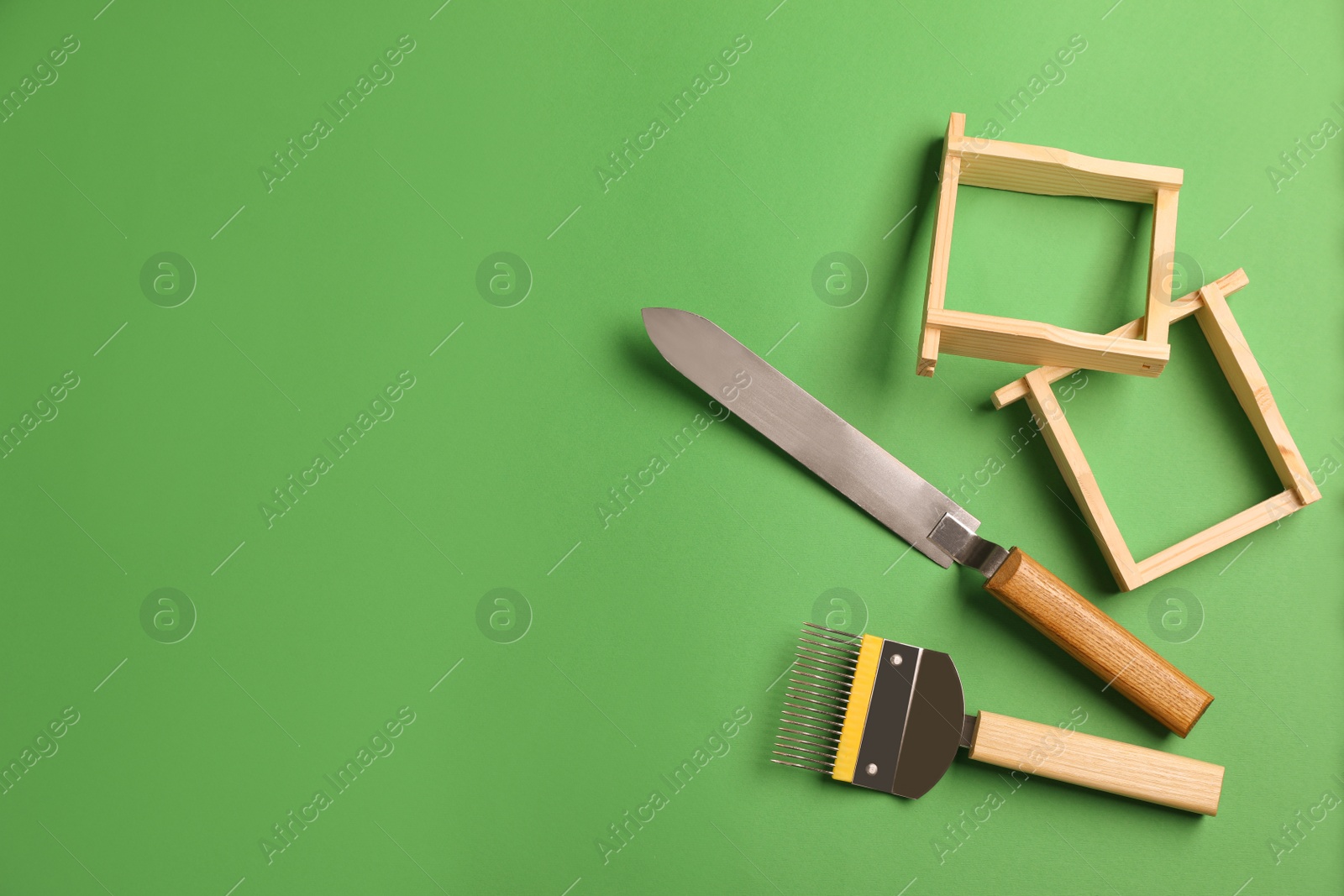 Photo of Beekeeping tools on green background, flat lay. Space for text