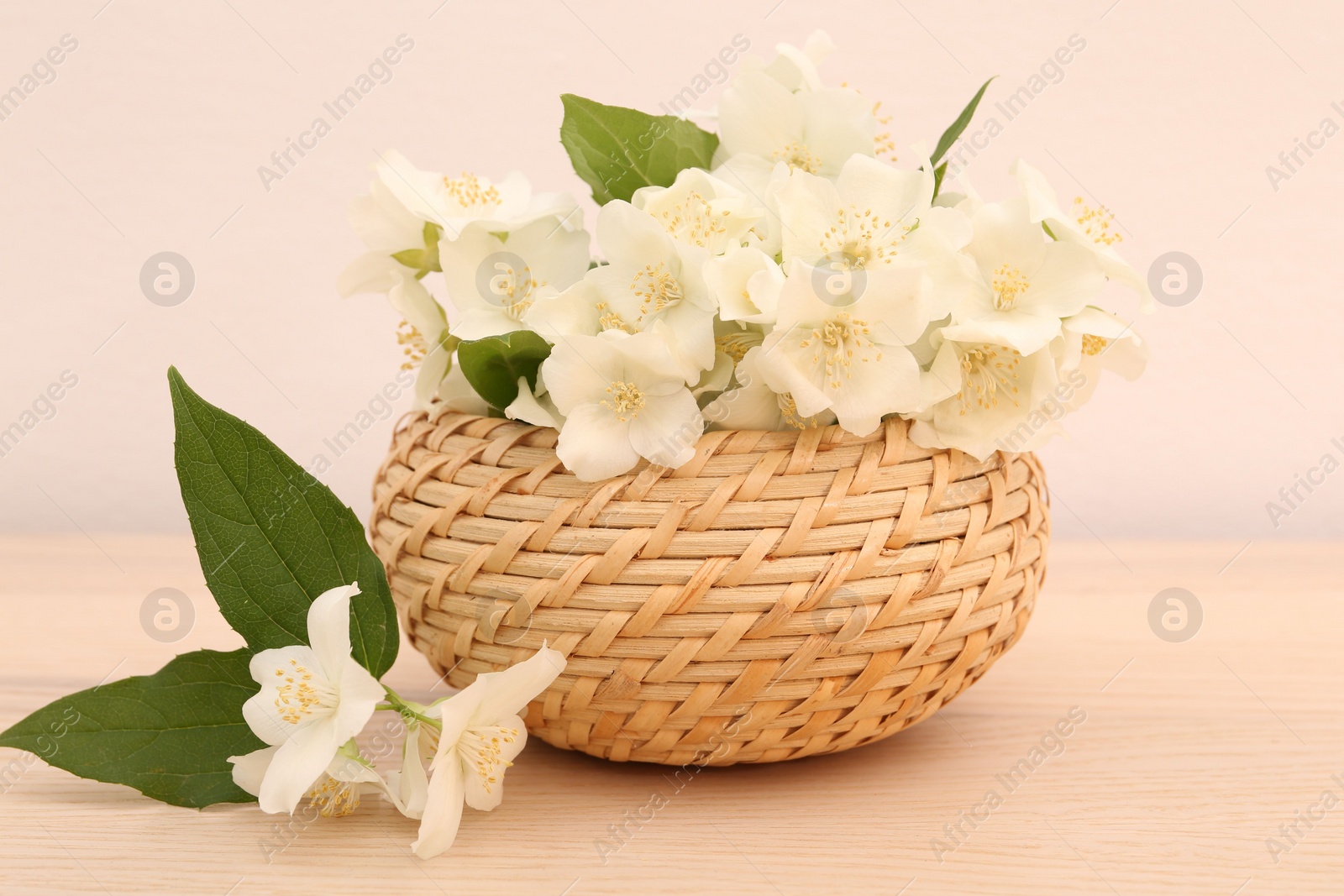 Photo of Beautiful jasmine flowers in wicker basket on wooden table