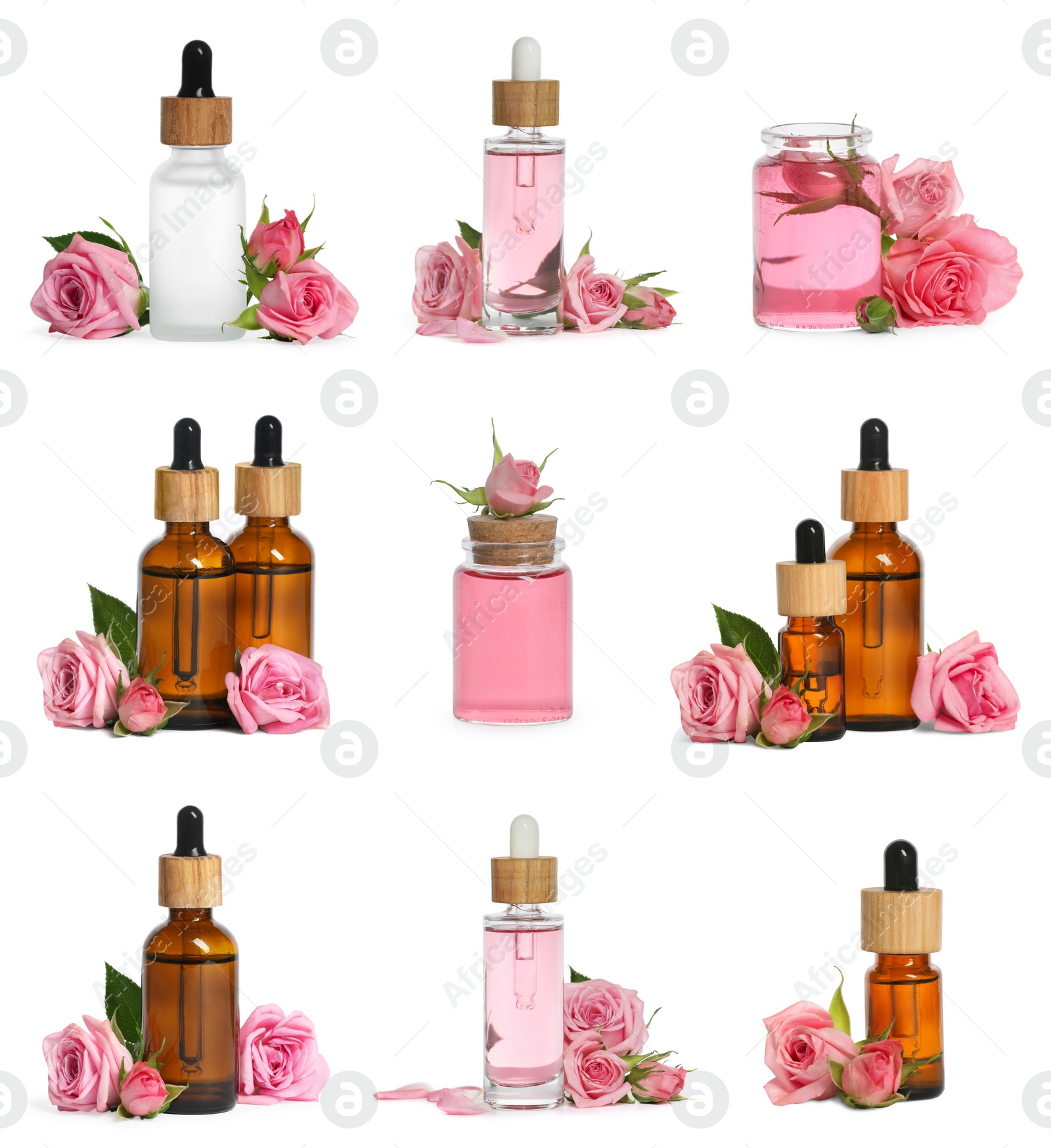 Image of Set with bottles of essential rose oil and flowers on white background