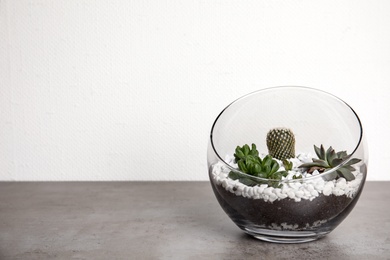 Glass florarium with different succulents on table against white background, space for text