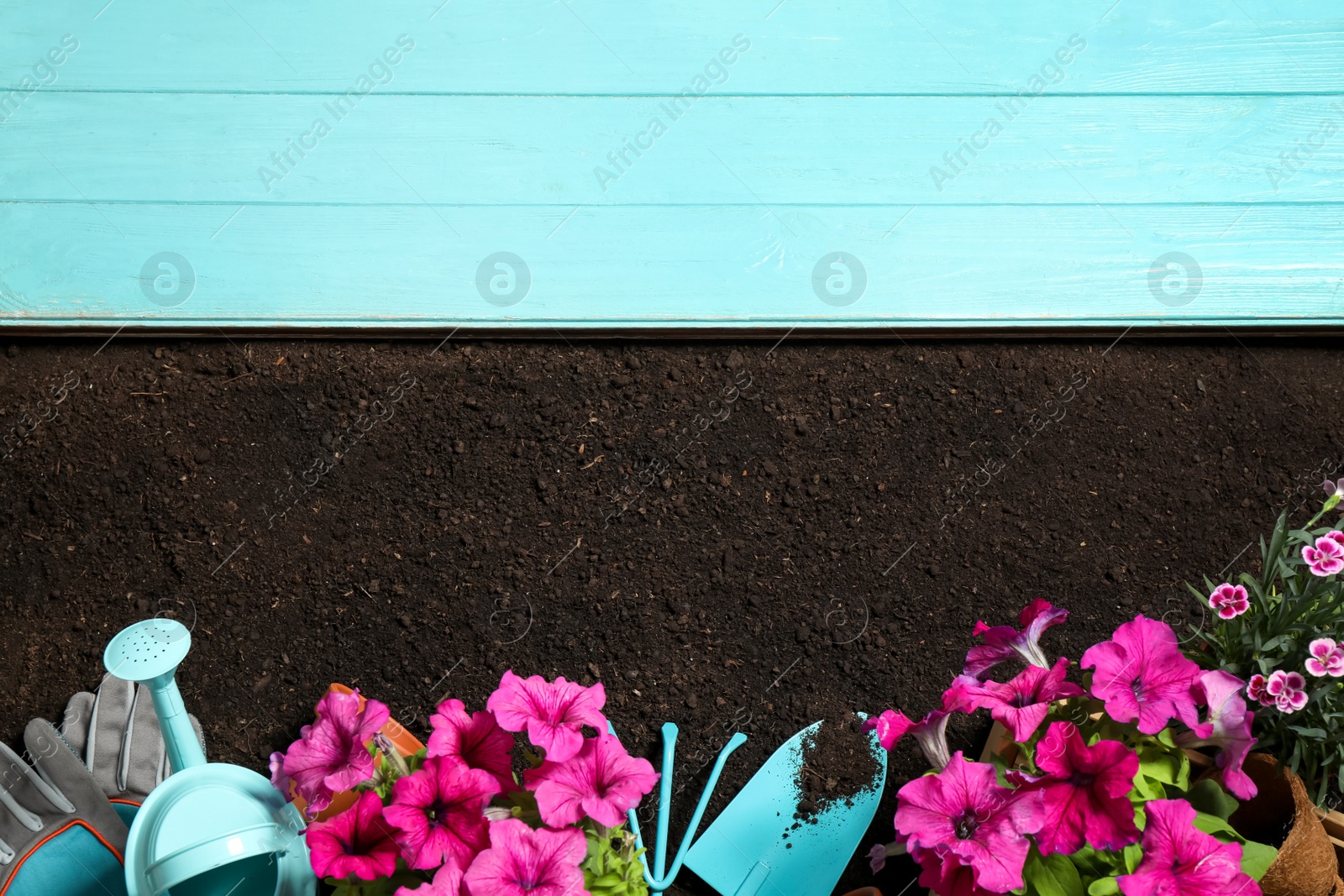 Photo of Flat lay composition with gardening equipment and flowers on soil, space for text