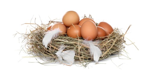 Photo of Fresh chicken eggs in nest isolated on white