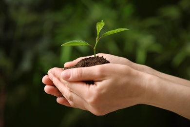 Photo of Woman holding pile of soil and seedling on blurred background, closeup