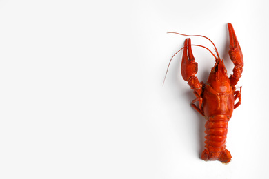 Photo of Delicious boiled crayfish isolated on white, top view