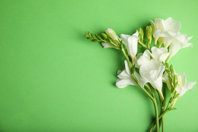 Photo of Beautiful spring freesia flowers on green background, flat lay. Space for text
