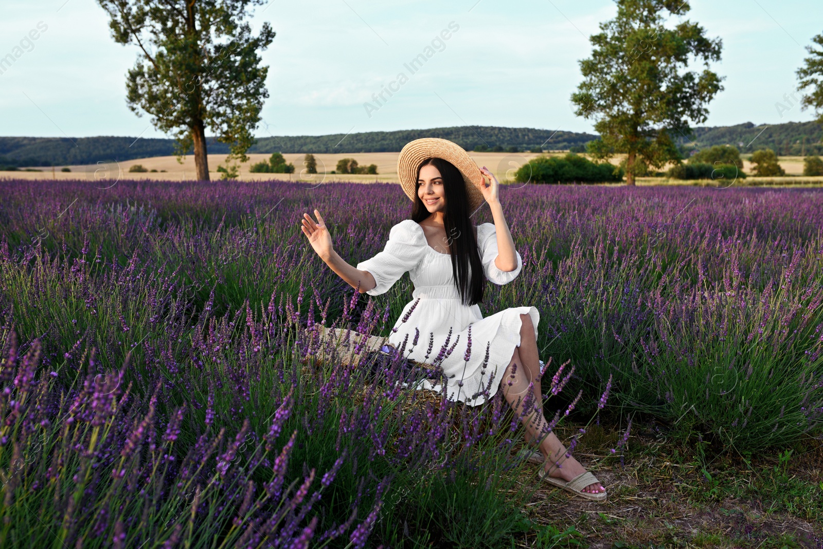 Photo of Beautiful young woman sitting in lavender field