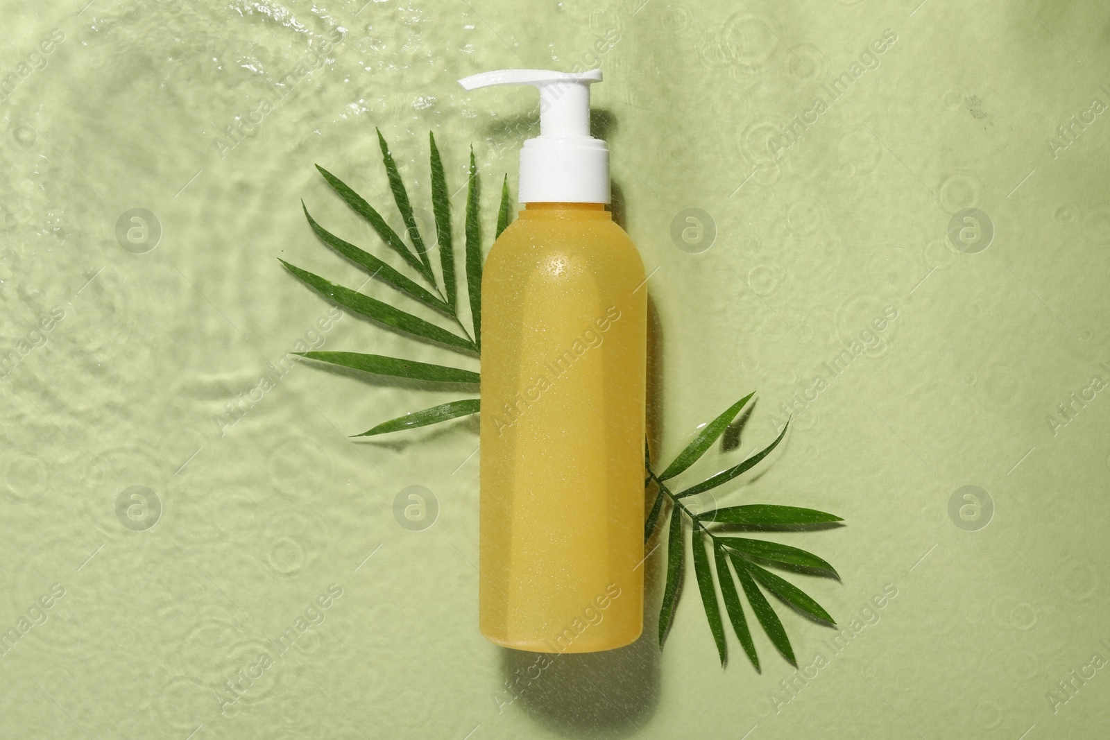Photo of Bottle of facial cleanser and leaves in water against olive background, flat lay