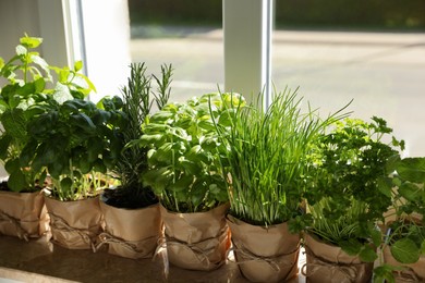 Photo of Different aromatic potted herbs on windowsill indoors