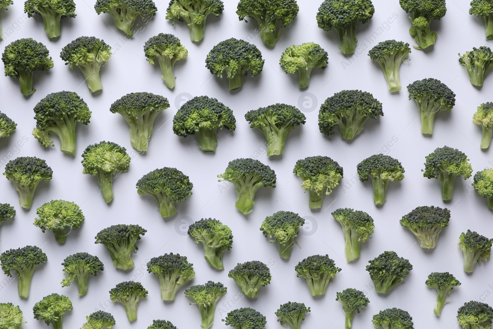 Photo of Many fresh green broccoli pieces on white background, flat lay