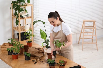 Photo of Happy woman planting seedling into pot at wooden table in room