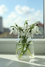 Photo of Beautiful snowdrop flowers in glass jar on windowsill