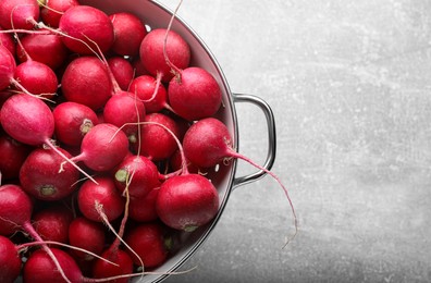 Photo of Colander with fresh ripe radishes on grey table, top view. Space for text