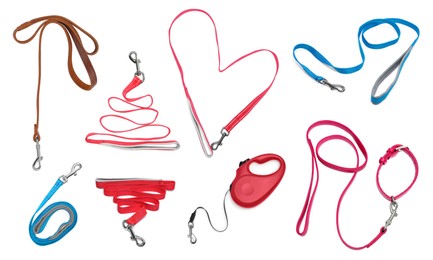 Different pet leashes on white background, collage design