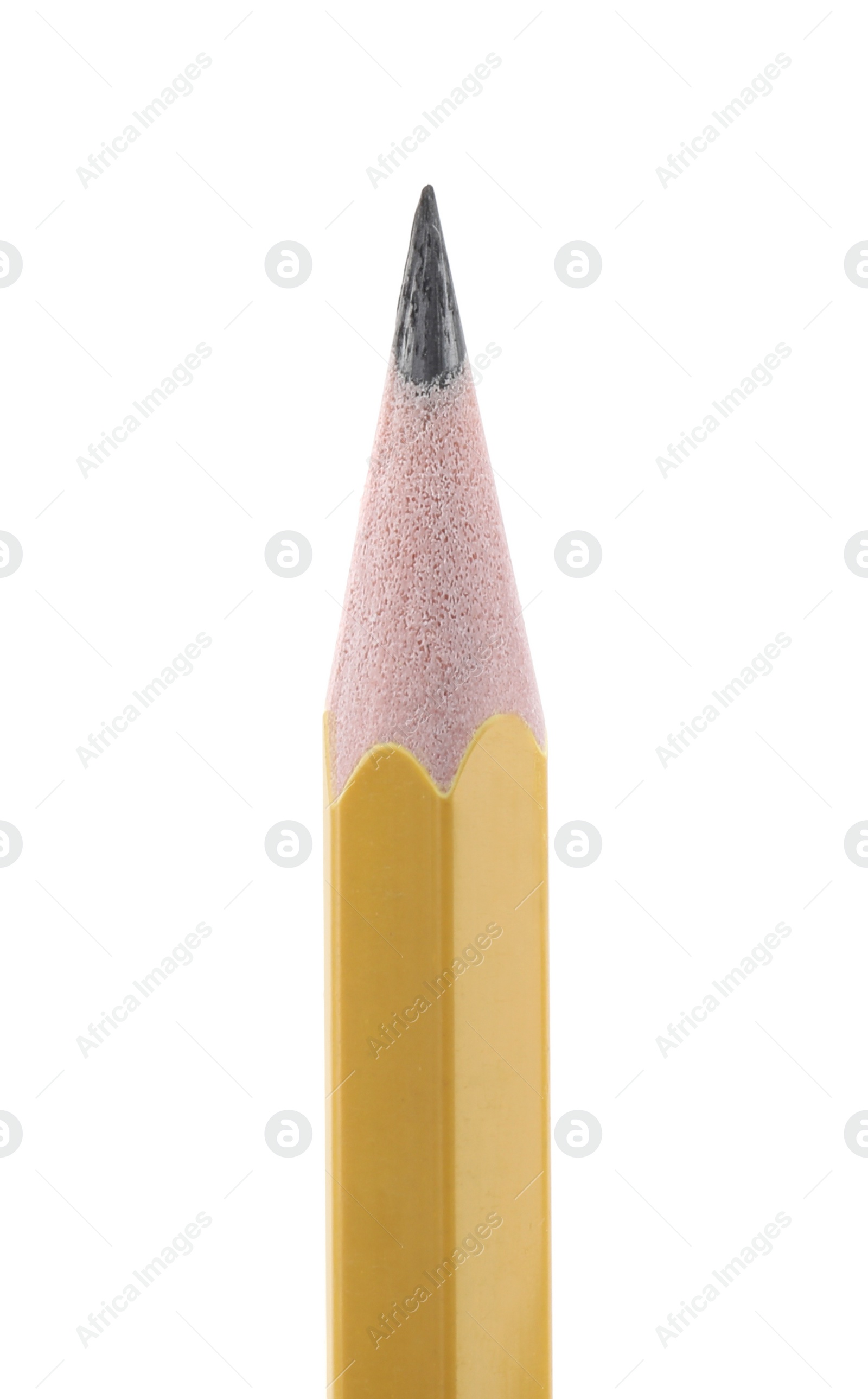 Photo of One sharp graphite pencil isolated on white