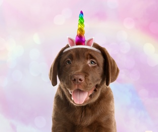 Image of Cute puppy with rainbow unicorn horn and ears headband on blurred background