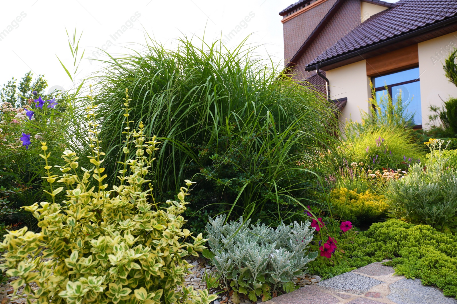 Photo of Beautiful landscape with green garden near modern house on summer day