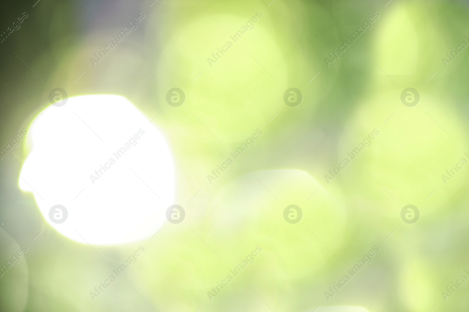 Photo of Blurred view through window on garden in morning