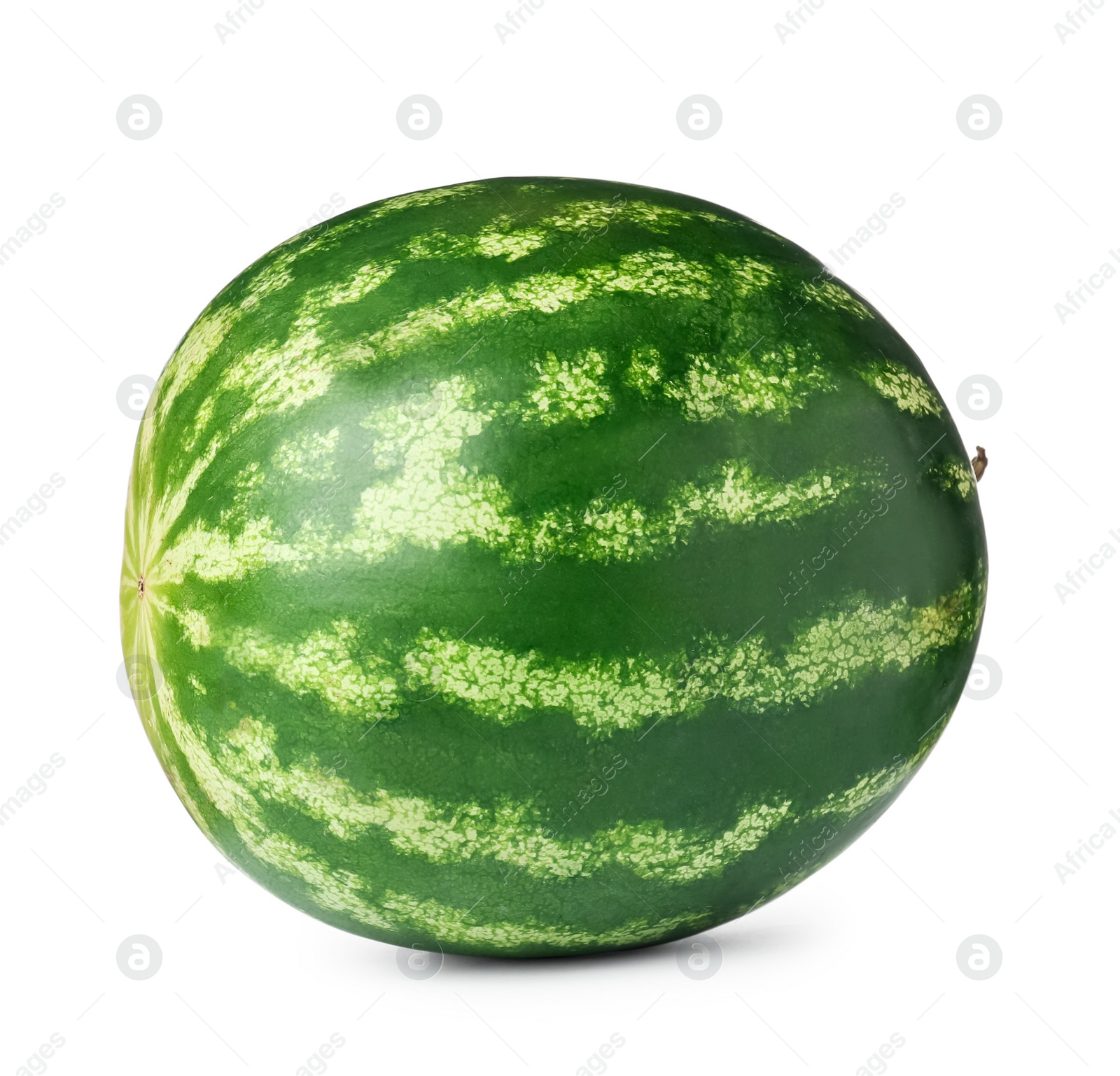 Photo of One whole ripe watermelon isolated on white