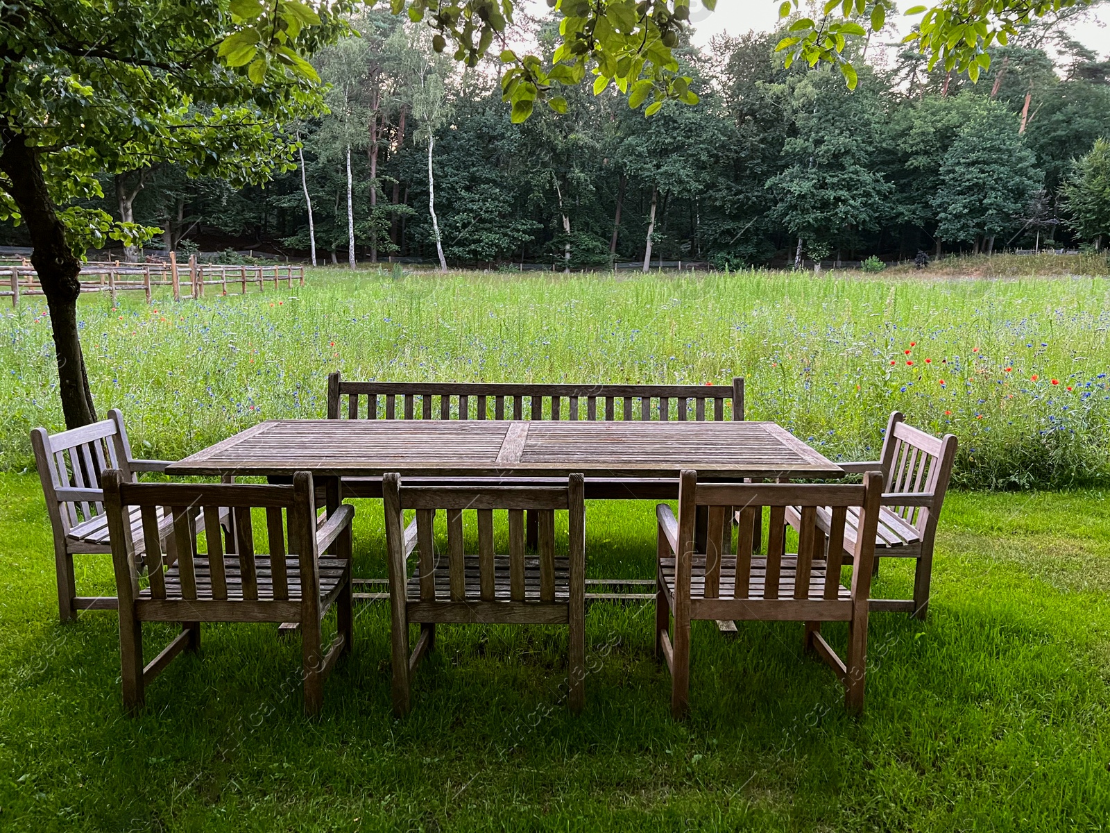 Photo of Wooden table with bench and chairs in garden. Landscape design