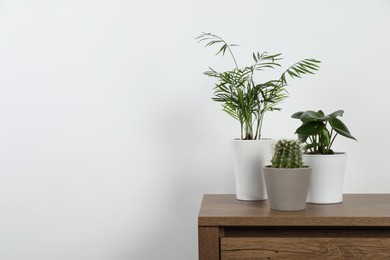 Photo of Many different houseplants in pots on wooden table near white wall, space for text