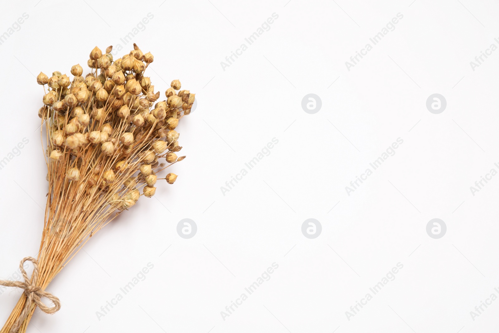 Photo of Bunch of beautiful dried flowers on white background, top view