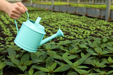 Photo of Woman watering fresh growing seedlings in greenhouse, closeup. Space for text