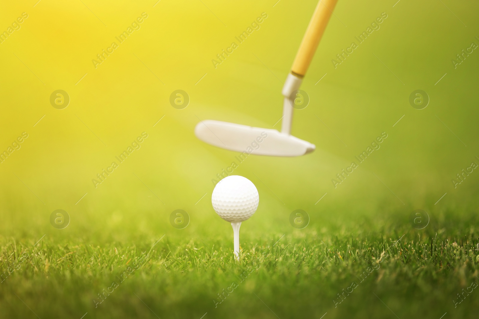 Image of Hitting golf ball with club in park on sunny day