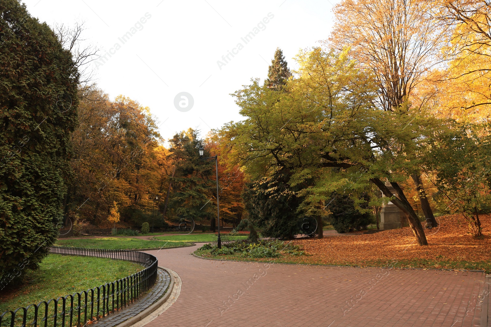 Photo of Beautiful yellowed trees and paved pathway in park