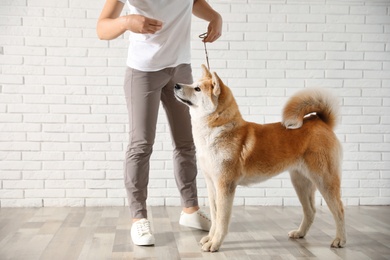 Photo of Young woman with adorable Akita Inu dog indoors. Champion training