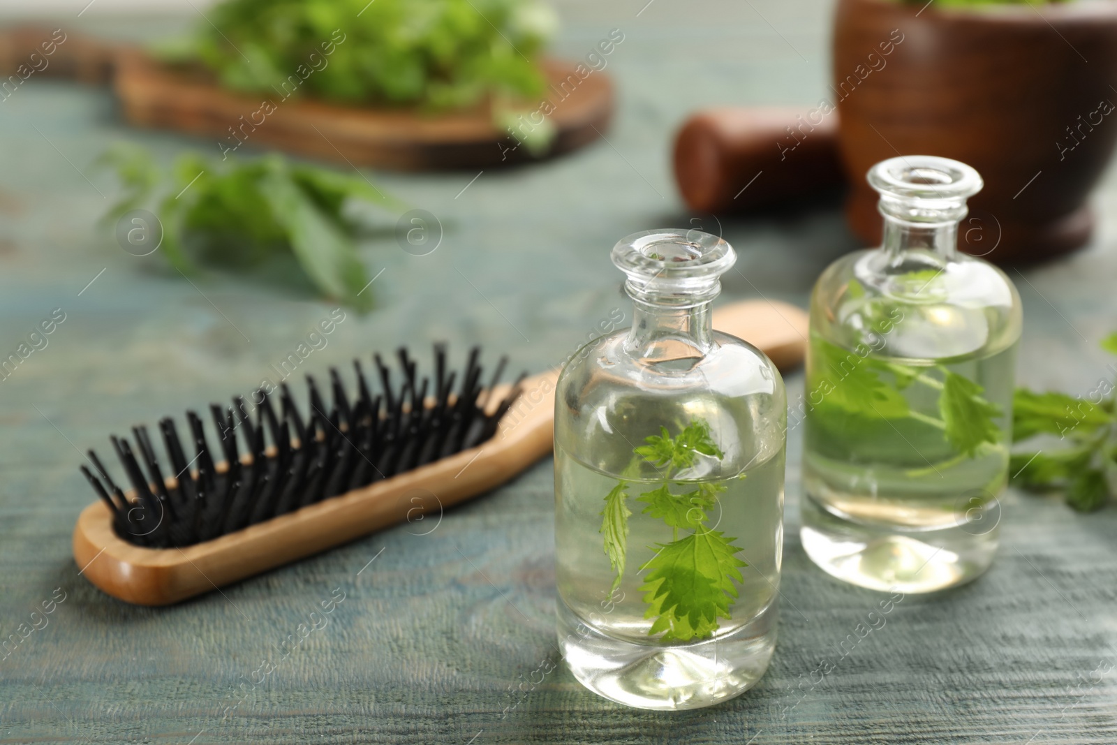 Photo of Stinging nettle, extract and brush on blue wooden background. Natural hair care