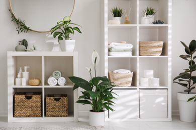 Photo of Beautiful green plants in elegant modern bathroom. Interior design