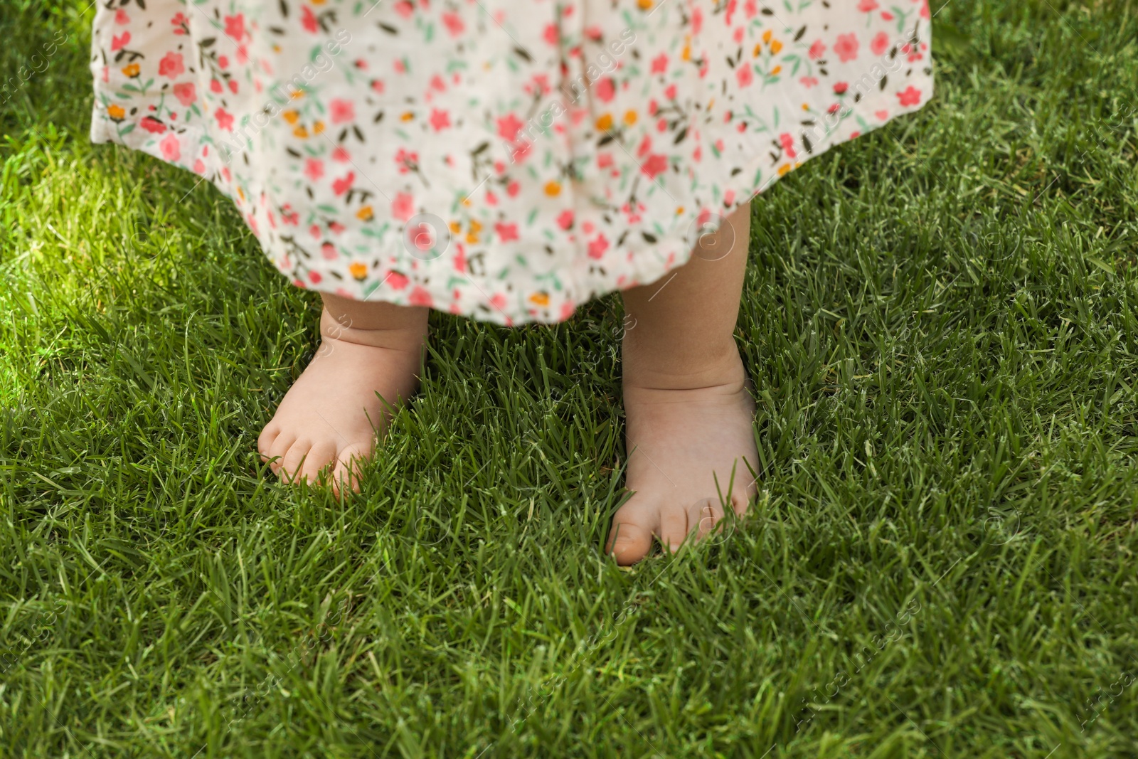 Photo of Little girl learning to walk on green grass outdoors, closeup