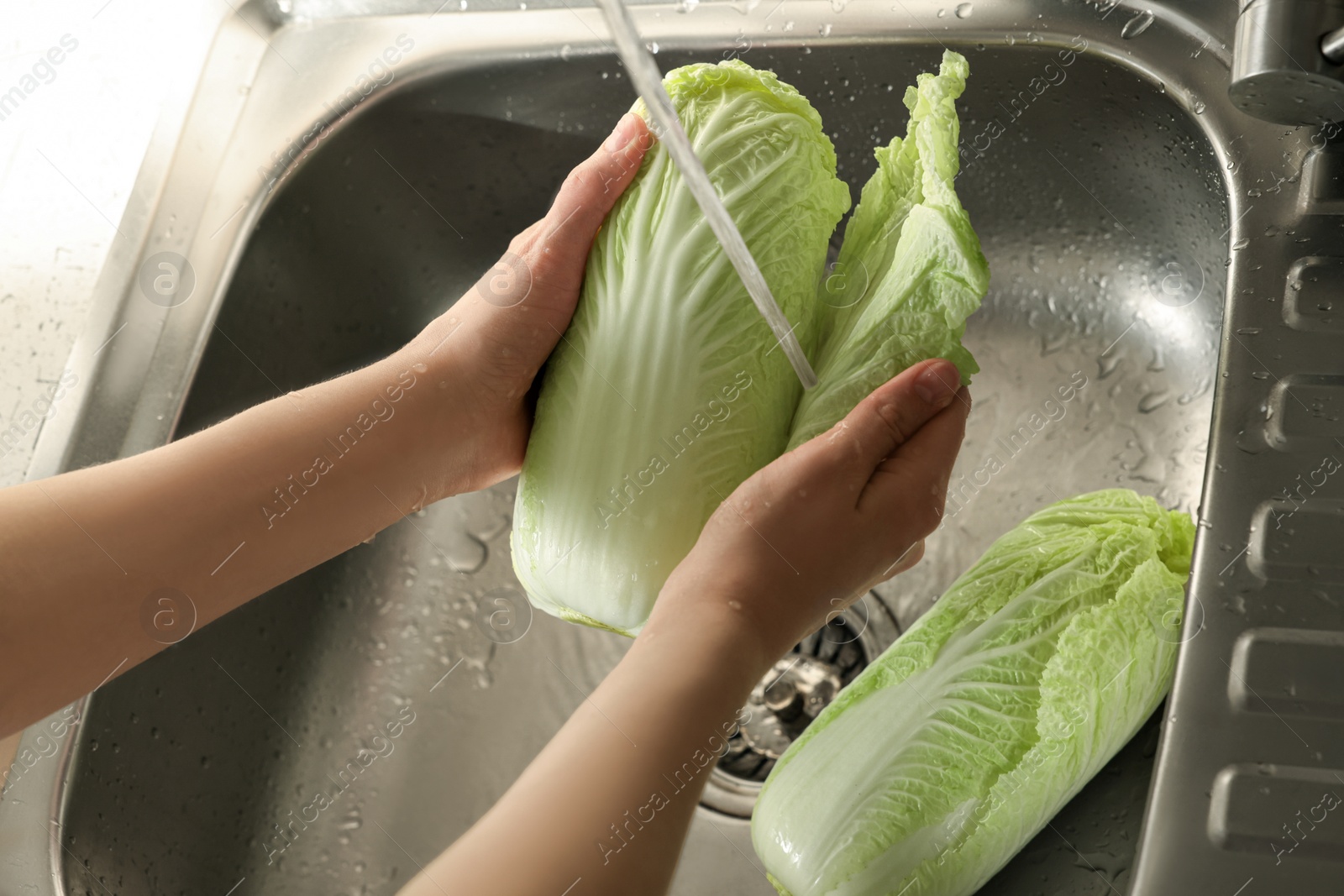 Photo of Woman washing fresh Chinese cabbages in sink, closeup