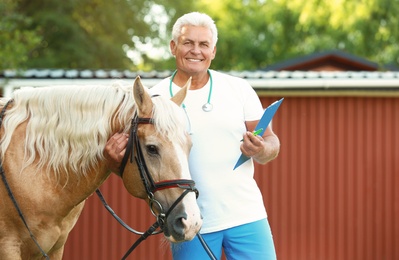 Photo of Senior veterinarian with clipboard near palomino horse outdoors