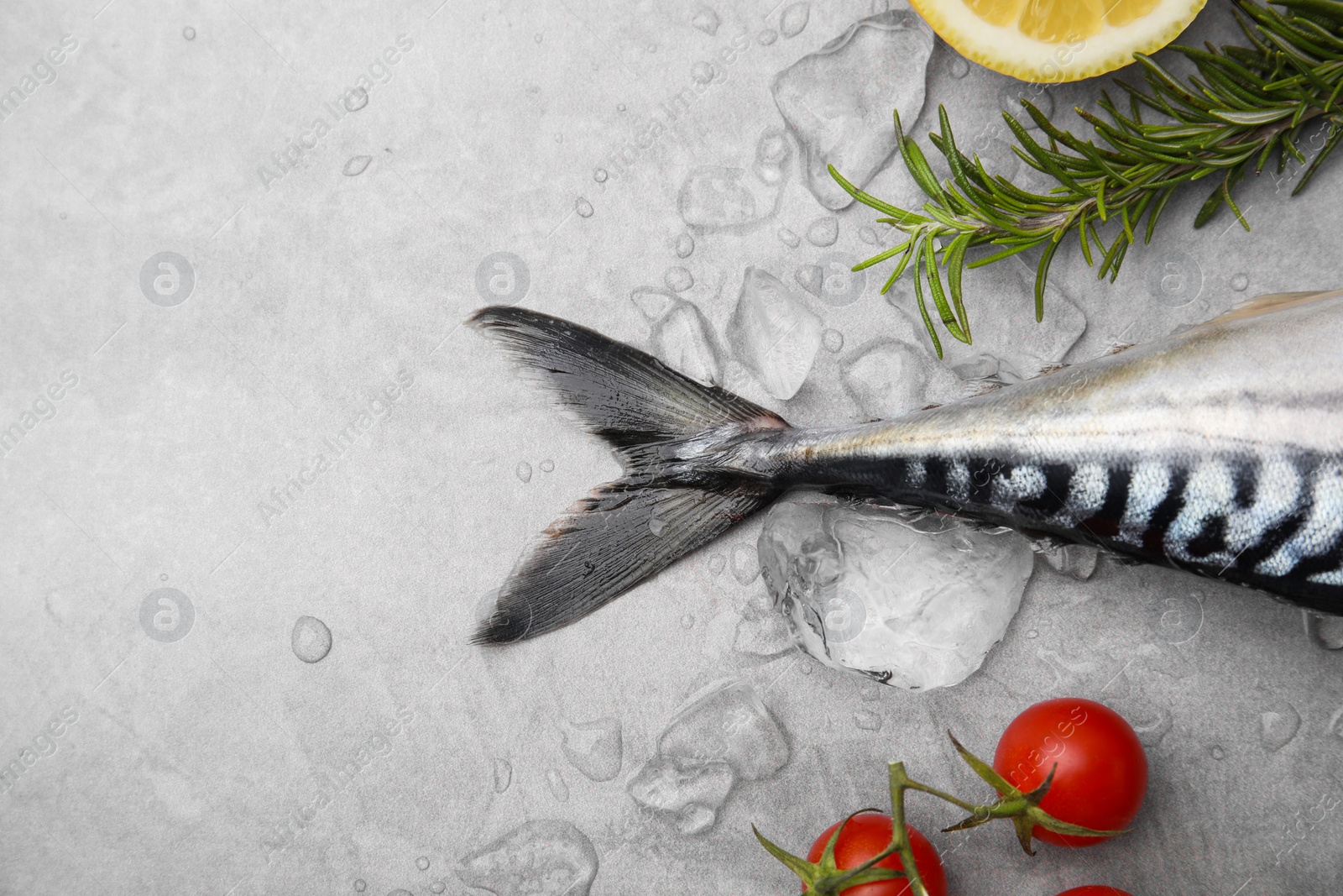 Photo of Raw mackerel, tomatoes and rosemary on light gray table, flat lay. Space for text