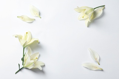Image of Frame of beautiful lily flowers on white background, flat lay. Space for text