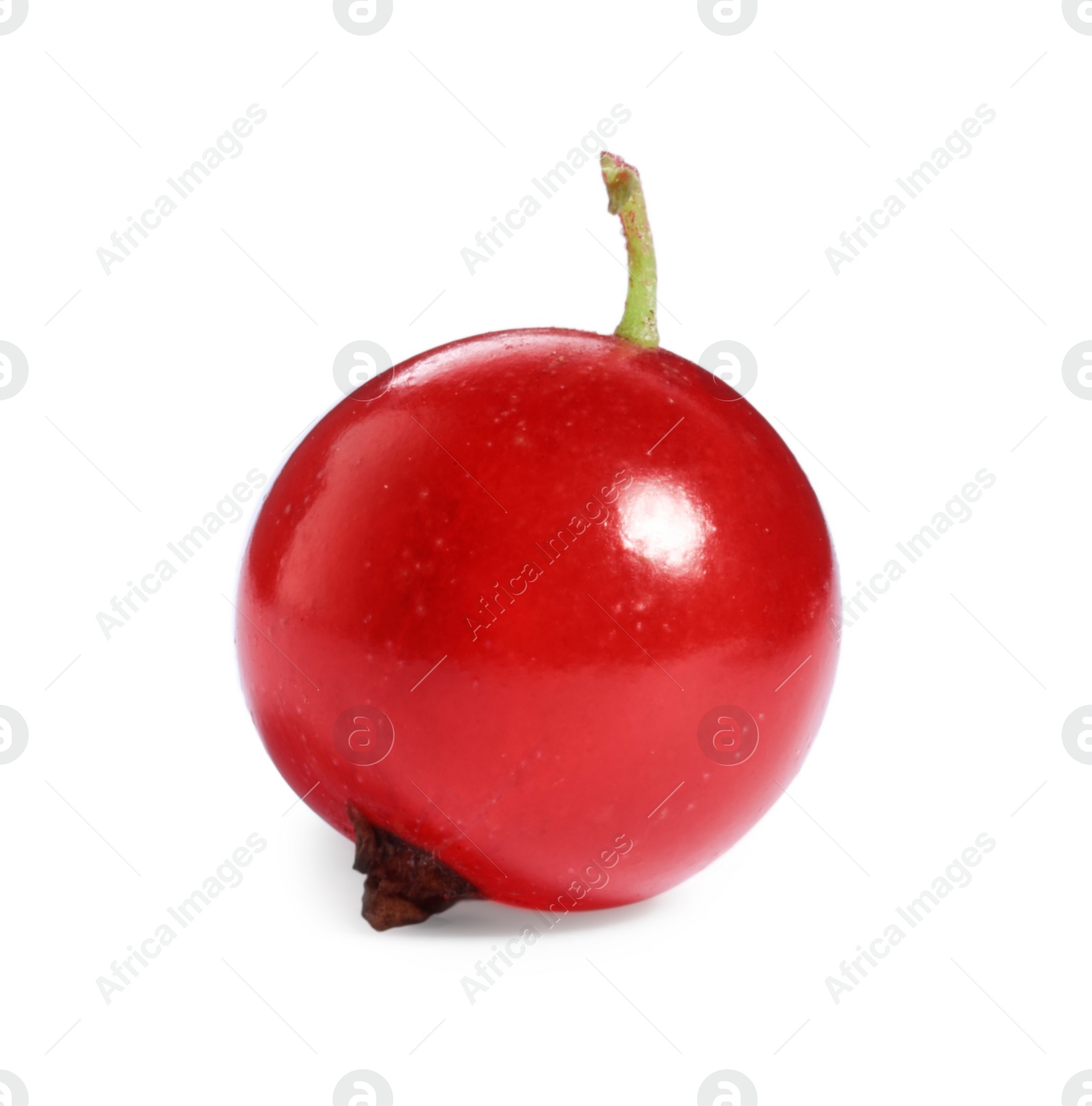 Photo of One ripe red currant isolated on white