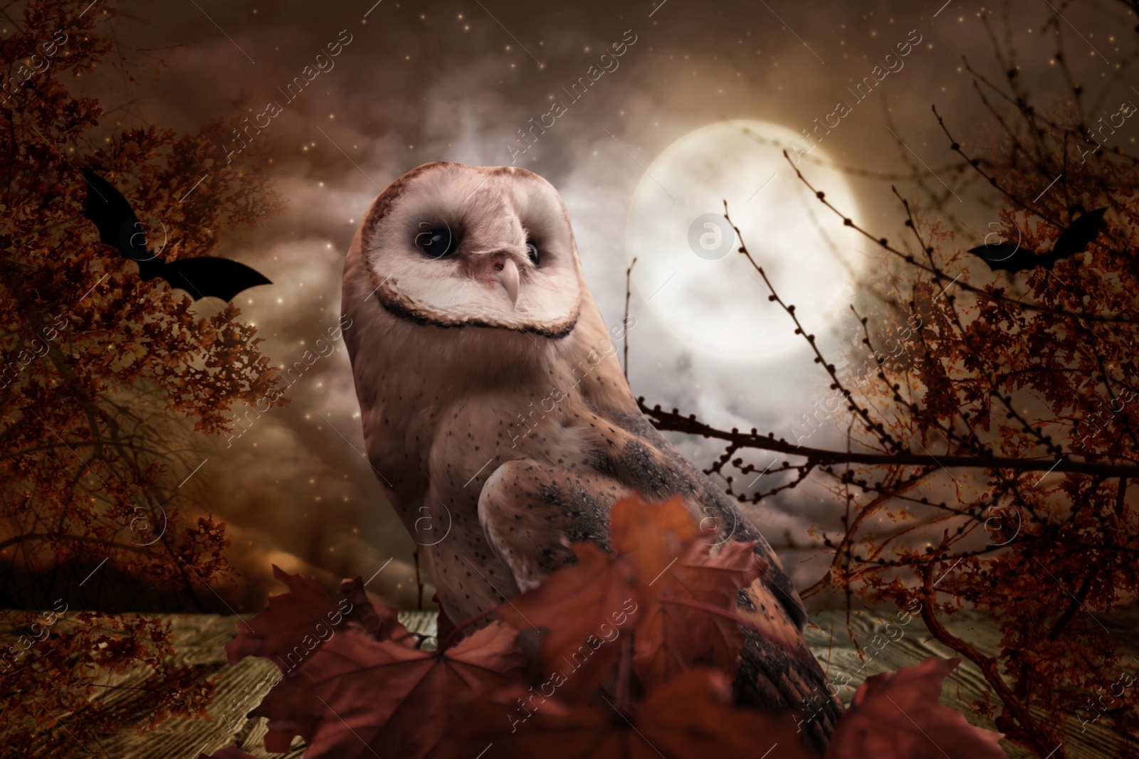 Image of Owl in autumn forest with bats on full moon night