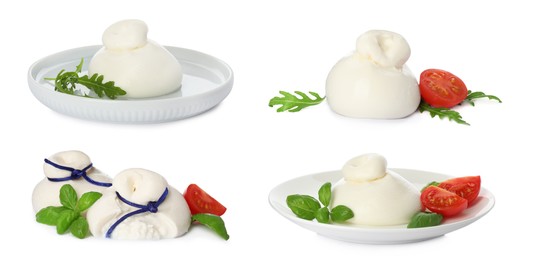 Image of Set with fresh delicious burrata cheese on white background