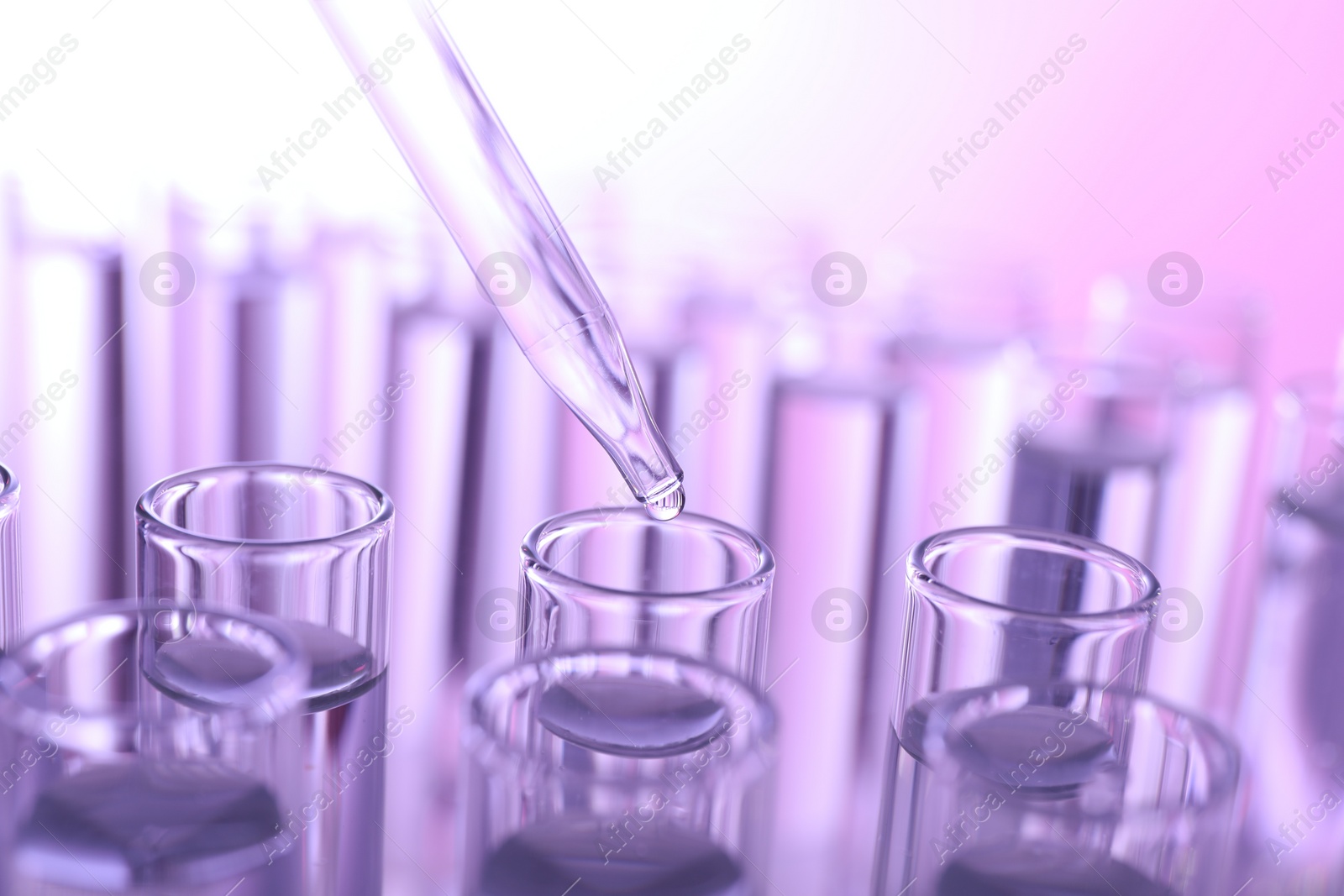 Photo of Dripping liquid from pipette into test tube on violet background, closeup